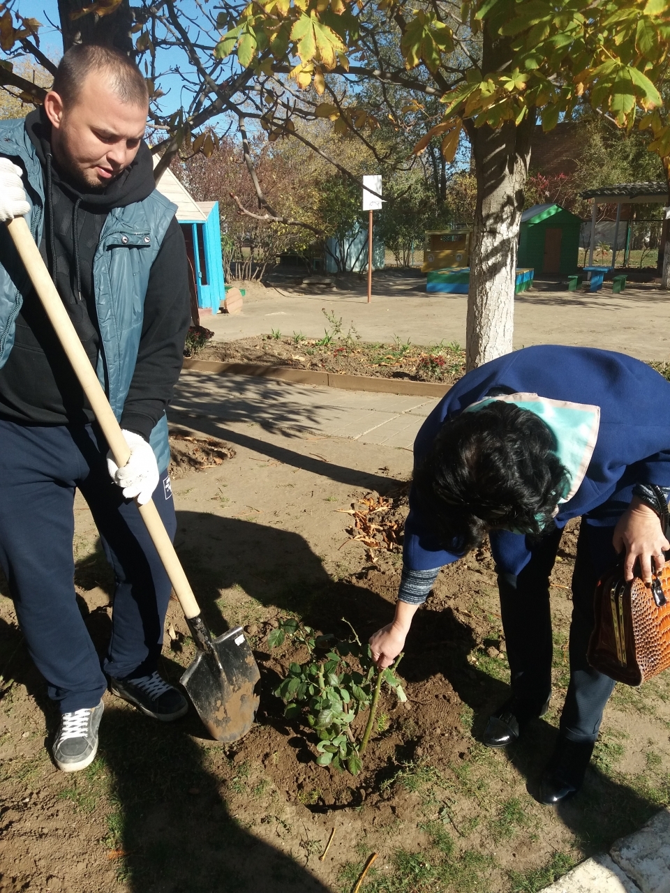 Картошка Рябинушка Описание Сорта Фото – Telegraph